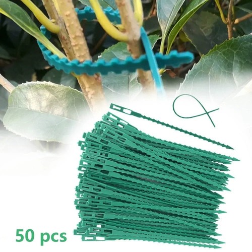 50pcs adjustable plant - 50pcs, cable