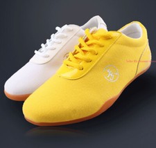 Adult Martial Arts Karate