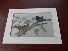 1970s ERIC TURNER WILD BIRDS