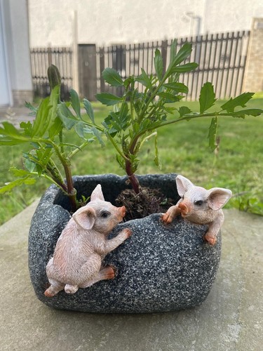Pigs trough planter resin - trough,