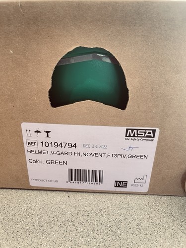 Msa guard helmet - v, h1
