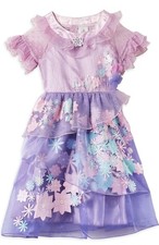 Isabela Fancy Dress Encanto