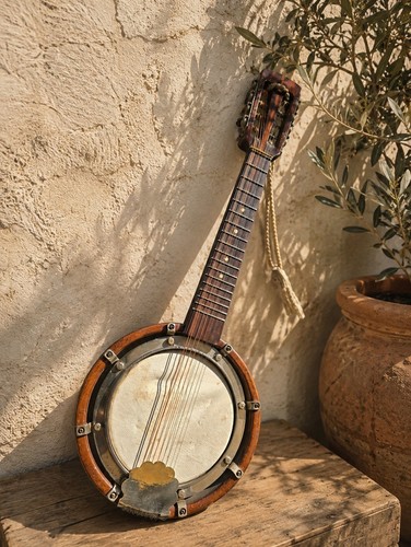 Vintage string banjo - 8,