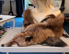 Vintage Fox Fur Stole