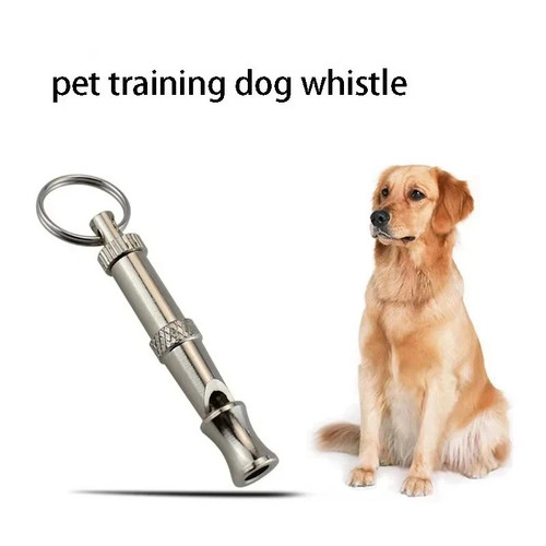 Dog whistle trainer recall - dog,