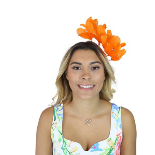 Women feather hair - women's,