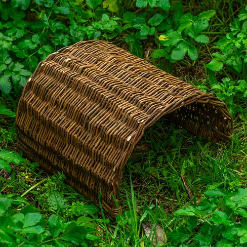 Woodside rabbit guinea pig - woodside,