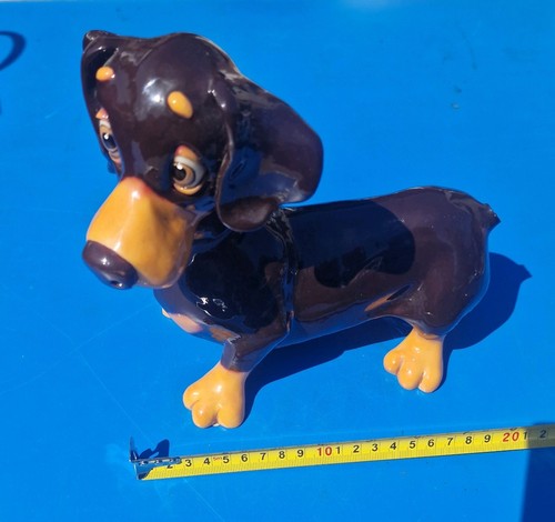 Pets with personality dog - pets,