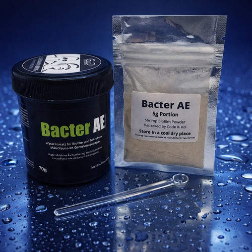 Glasgarten bacter shrimp - bacter,