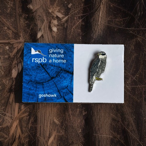 Rspb pin badge goshawk - goshawk,