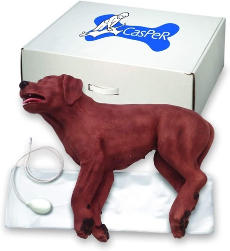 Cpr dog training - cpr,