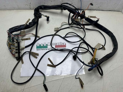 Electric system aprilia pegaso - electric,
