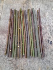20 Pussy (goat) willow cuttings