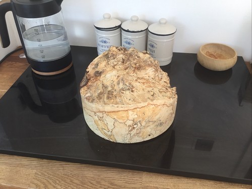 Bowl turning blank spalted - turning,