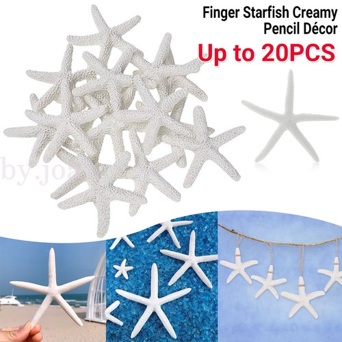 20x finger starfish - finger, sea