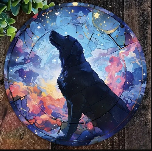 Labrador black dog - dog, stars