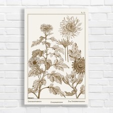 Vintage Botanical