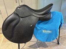 16.5” (42cm) Wintec AP