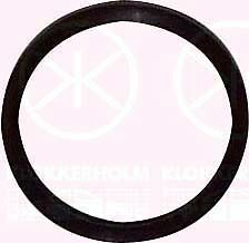 Fuel tank sender pump - sender, seal