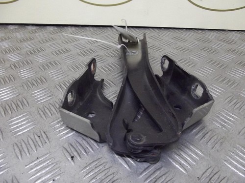 Fiat punto evo - of, bonnet