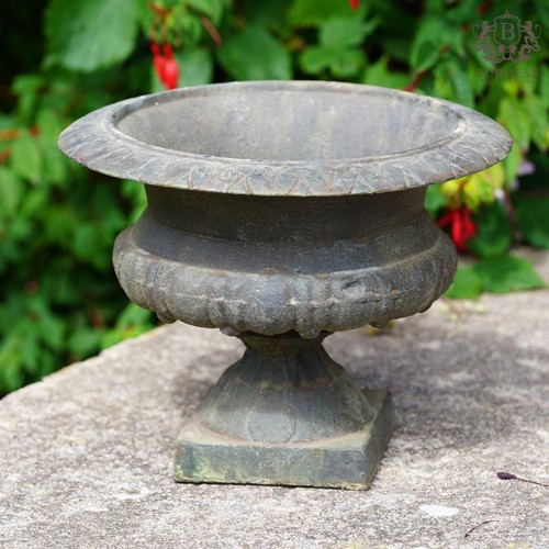 Cast iron urn vintage - |,