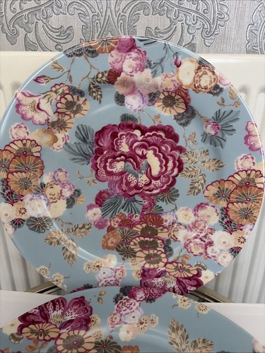 Large dinner plates - large,
