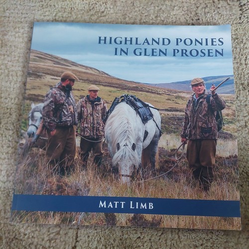 Highland ponies glen - highland,