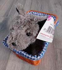 Wizard Of Oz Toto Dorothy’s