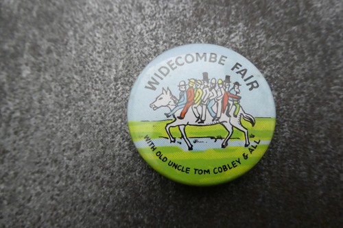 Widecombe fair pin - fair, badge