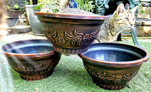 Pack set large 26cm - pack, x