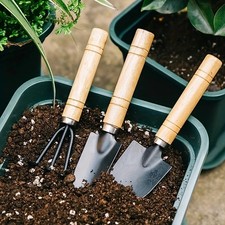 Mini Garden Tool Set – Rake