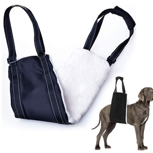 Large dog mobility aids - large,