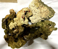 MARINE AQUARIUM LIVE LIVING