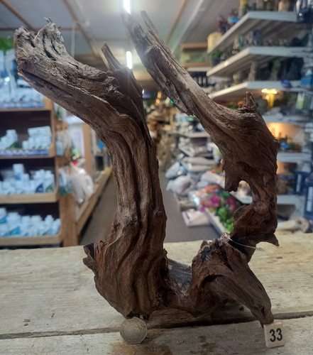 Med large ancient root wood - ancient,