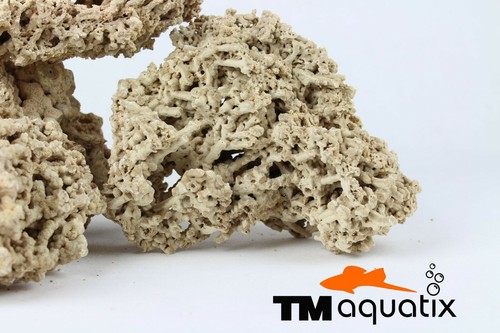 Aquarium ocean rock - aquarium,