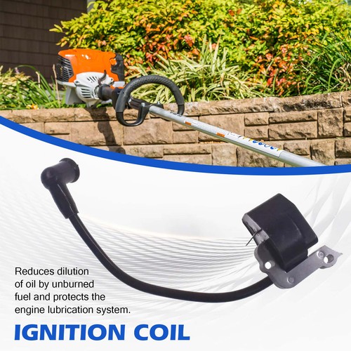 Ignition coil module for - ignition,