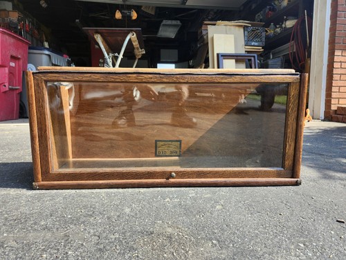 Globe wernicke tiger oak 12 - tiger,