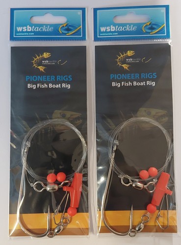 Wsb pioneer big fish - 2, x