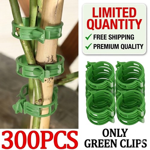 100x clip tomato and veggie - clip,
