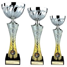 Vigor Cup Gold/Silver TROPHY