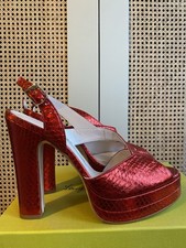 Terry De Havilland x Dolly