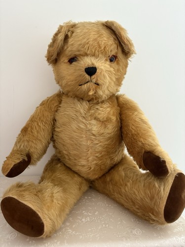 Pedigree musical vintage - pedigree,