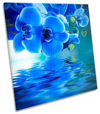 Floral Flower Reflection SQUARE CANVAS WALL ART Boxed Framed