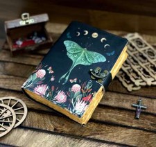 Vintage Enchanting Luna Moth