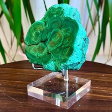 1.16LB Natural glossy Malachite transparent cluster rough mineral sample