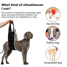 Large Dog Mobility Aids