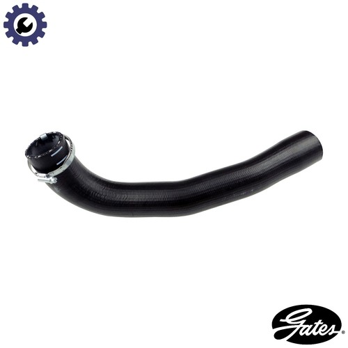 Charge air hose - charge,