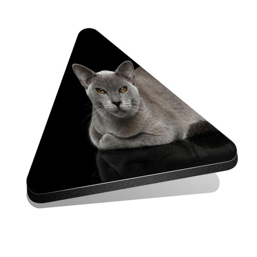 Triangle fridge mdf magnet - fridge,