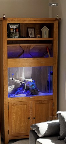 Aqua oak aquarium - aqua,