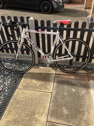 Raleigh equipe adult road - adult,